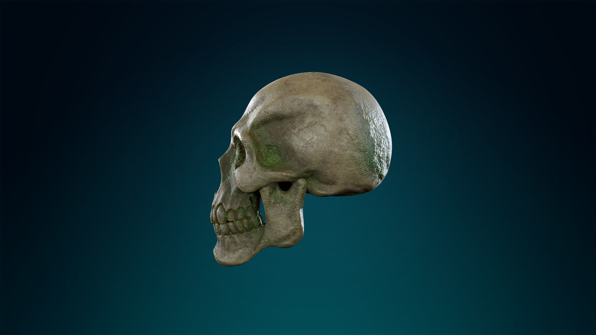 Human Skeleton Skull - Forest - Lowpoly - Game Ready Low-poly 3D model_16