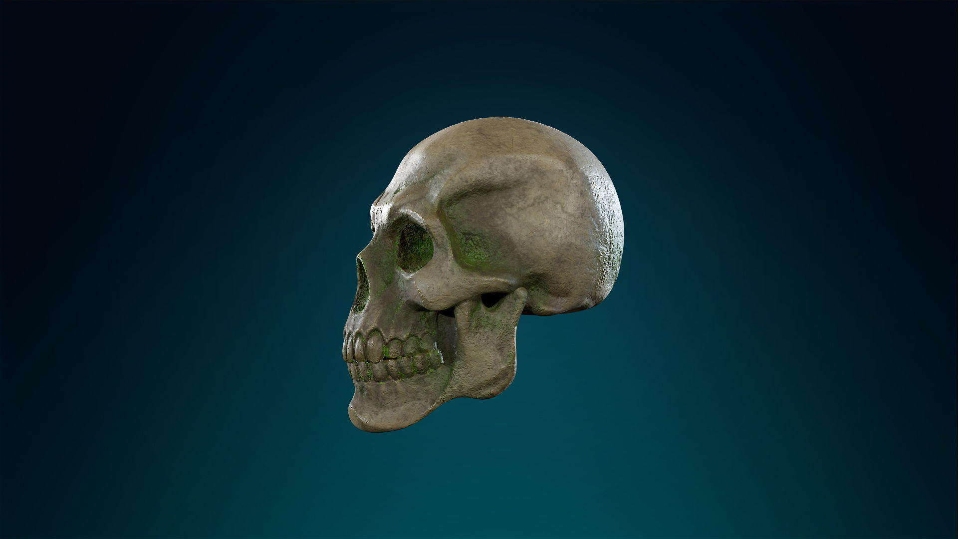 Human Skeleton Skull - Forest - Lowpoly - Game Ready Low-poly 3D model_17