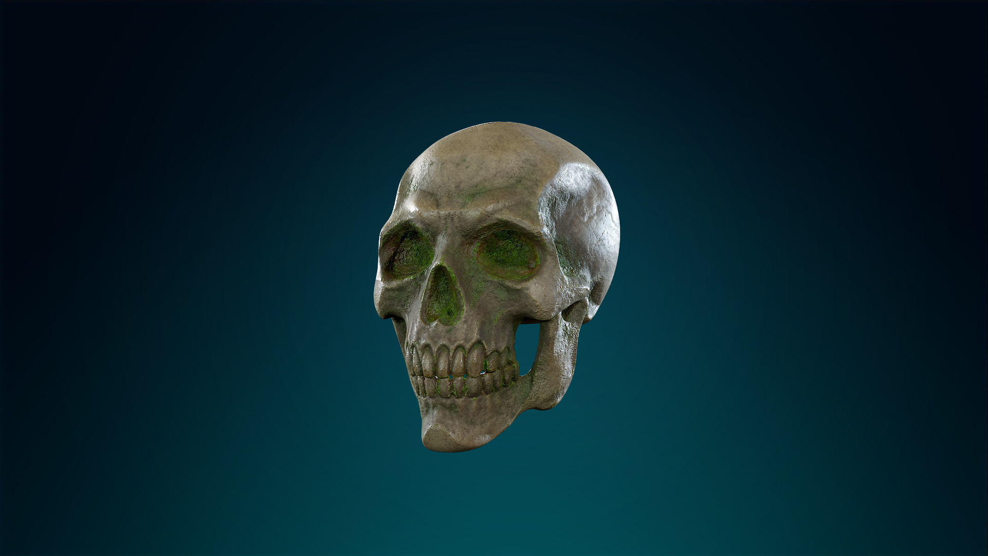Human Skeleton Skull - Forest - Lowpoly - Game Ready Low-poly 3D model_19