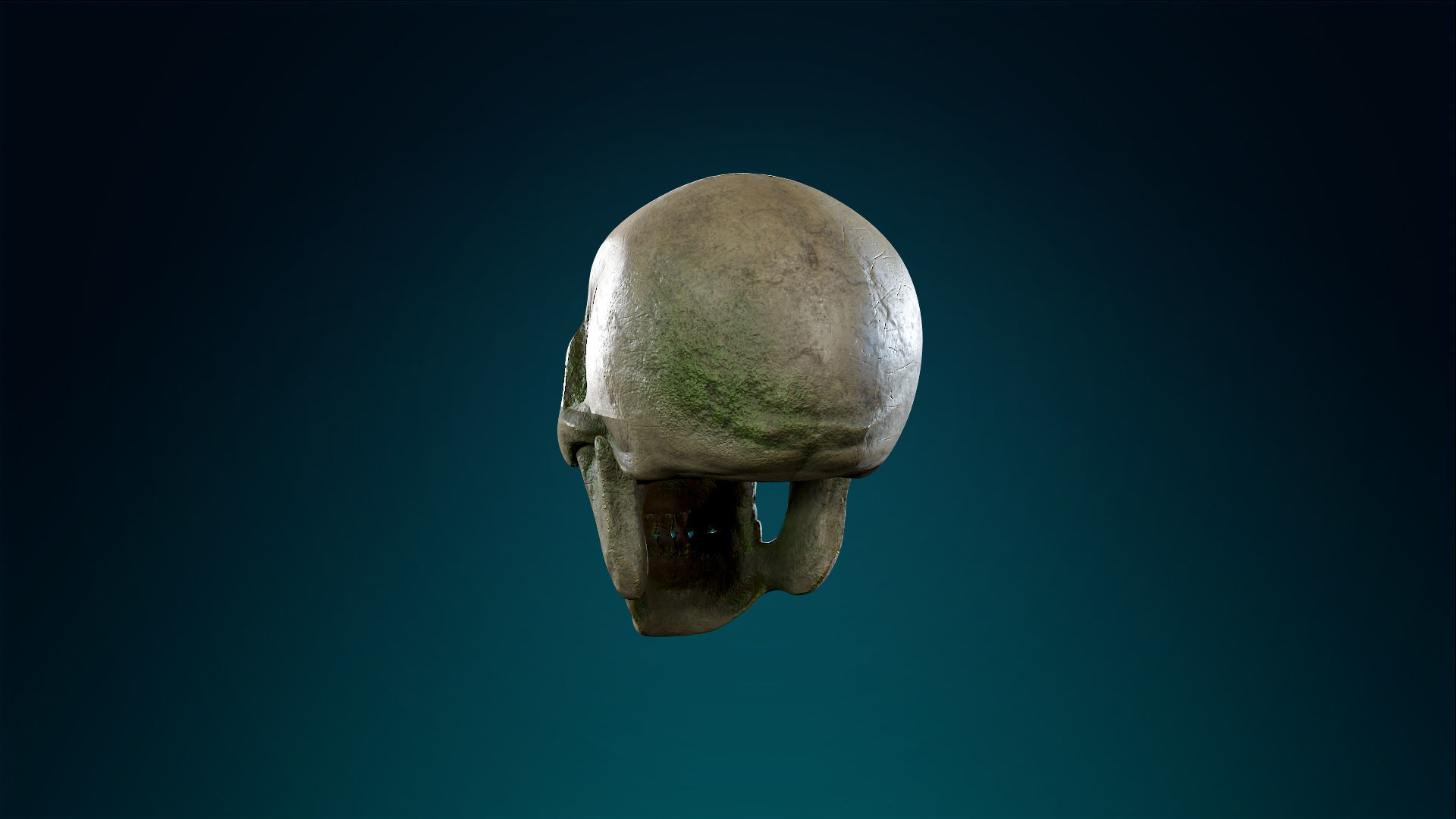 Human Skeleton Skull - Forest - Lowpoly - Game Ready Low-poly 3D model_13