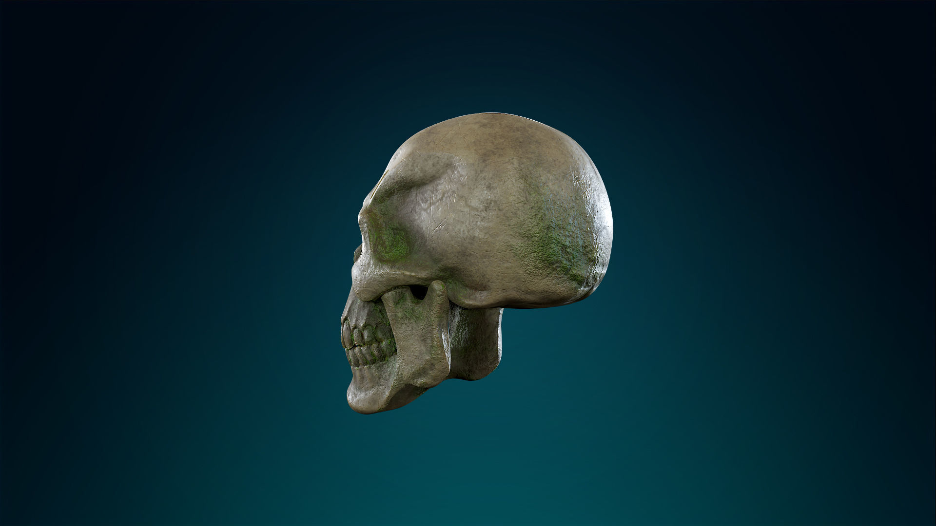 Human Skeleton Skull - Forest - Lowpoly - Game Ready Low-poly 3D model_15