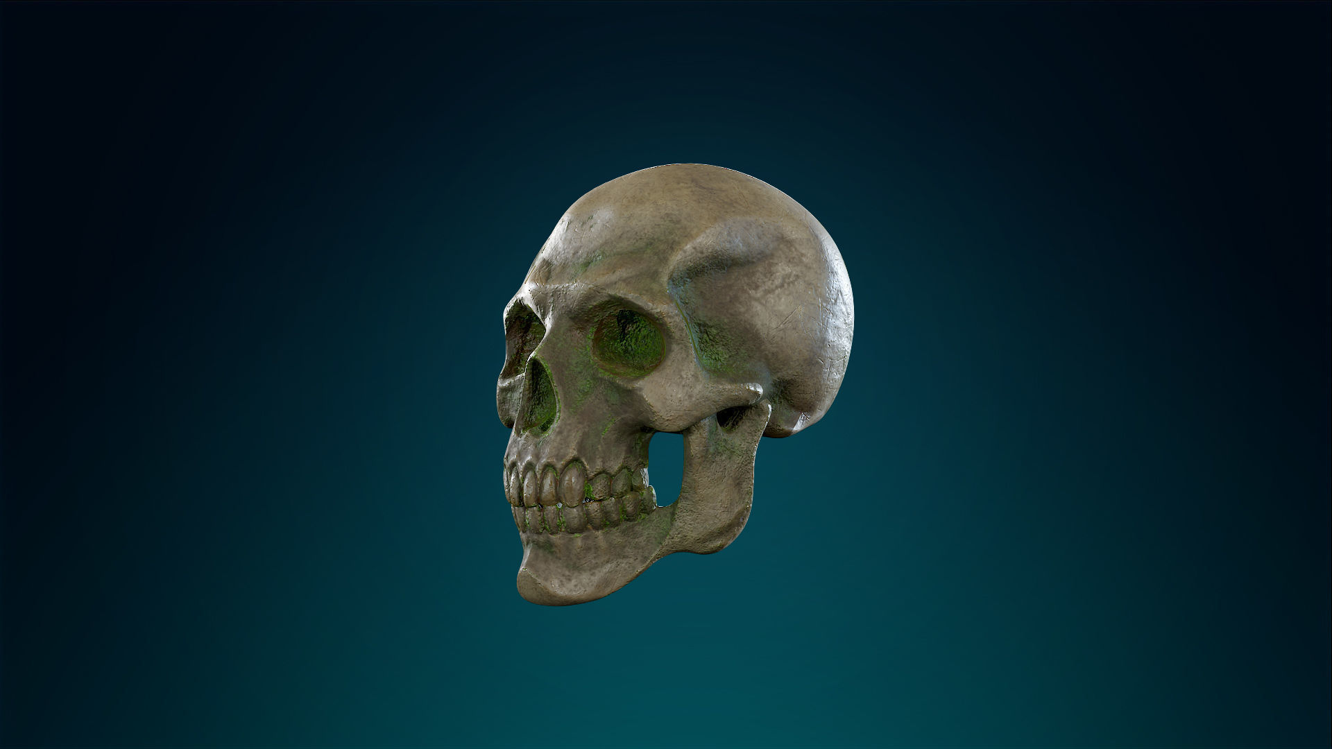 Human Skeleton Skull - Forest - Lowpoly - Game Ready Low-poly 3D model_18
