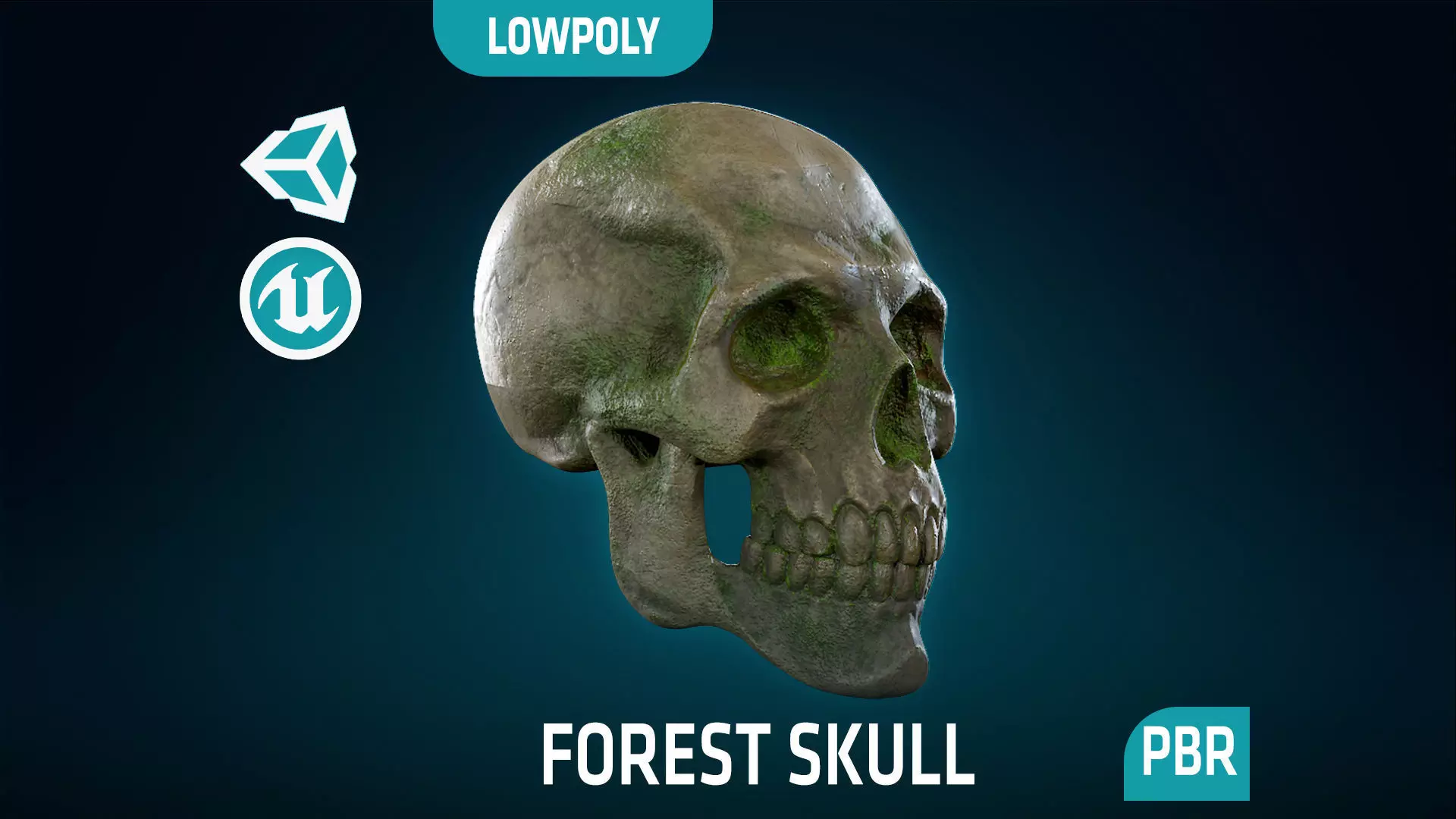 Human Skeleton Skull - Forest - Lowpoly - Game Ready Low-poly 3D model_0