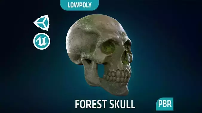 Human Skeleton Skull - Forest - Lowpoly - Game Ready