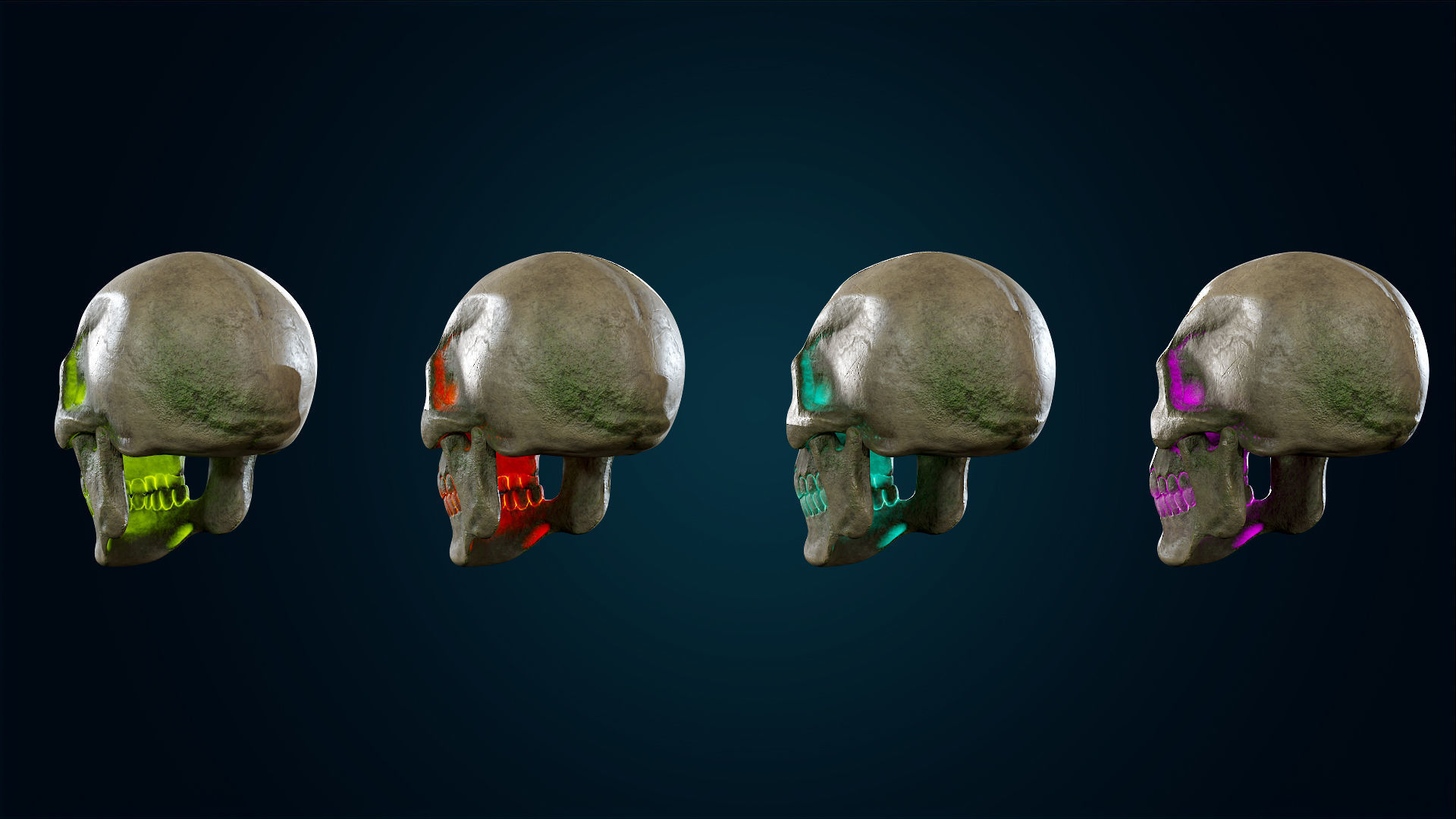 Human Skeleton Skull - Forest - Lowpoly - Game Ready Low-poly 3D model_25