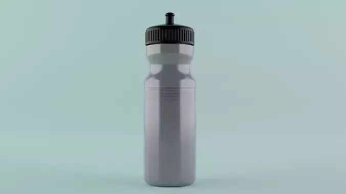Sport water bottle