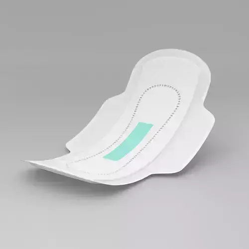 Sanitary Napkin Pad