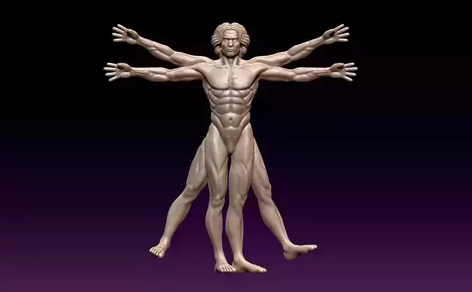 Vitruvian Man 3D print model