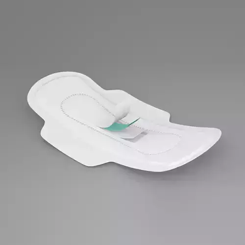 Sanitary Napkin Pad