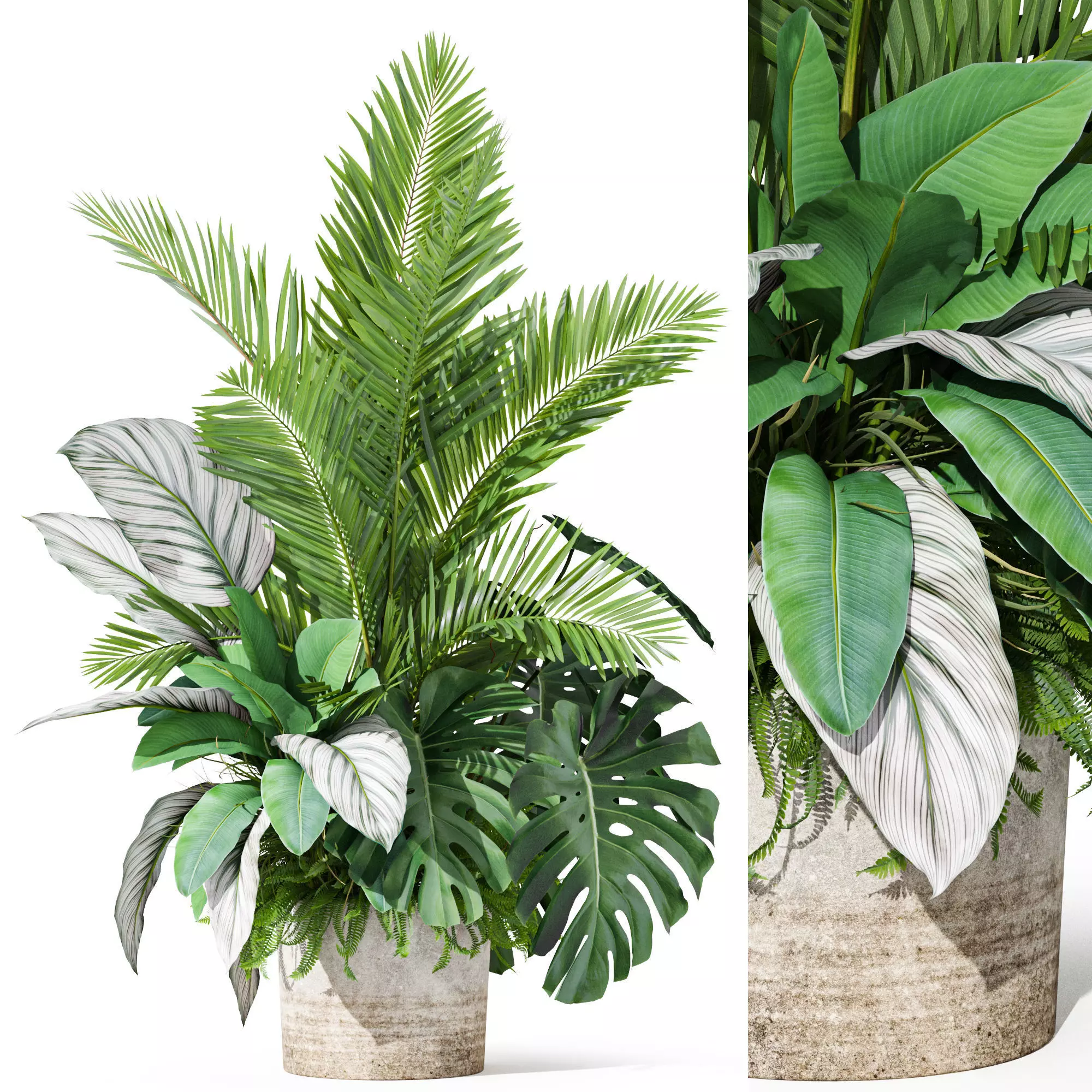 Plants collection 1017 3D model