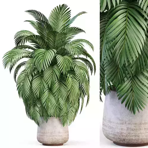 Plants collection 1020 3D model