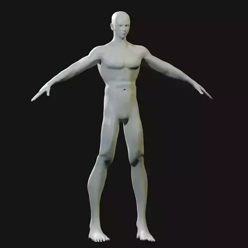 Anime male Free 3D model