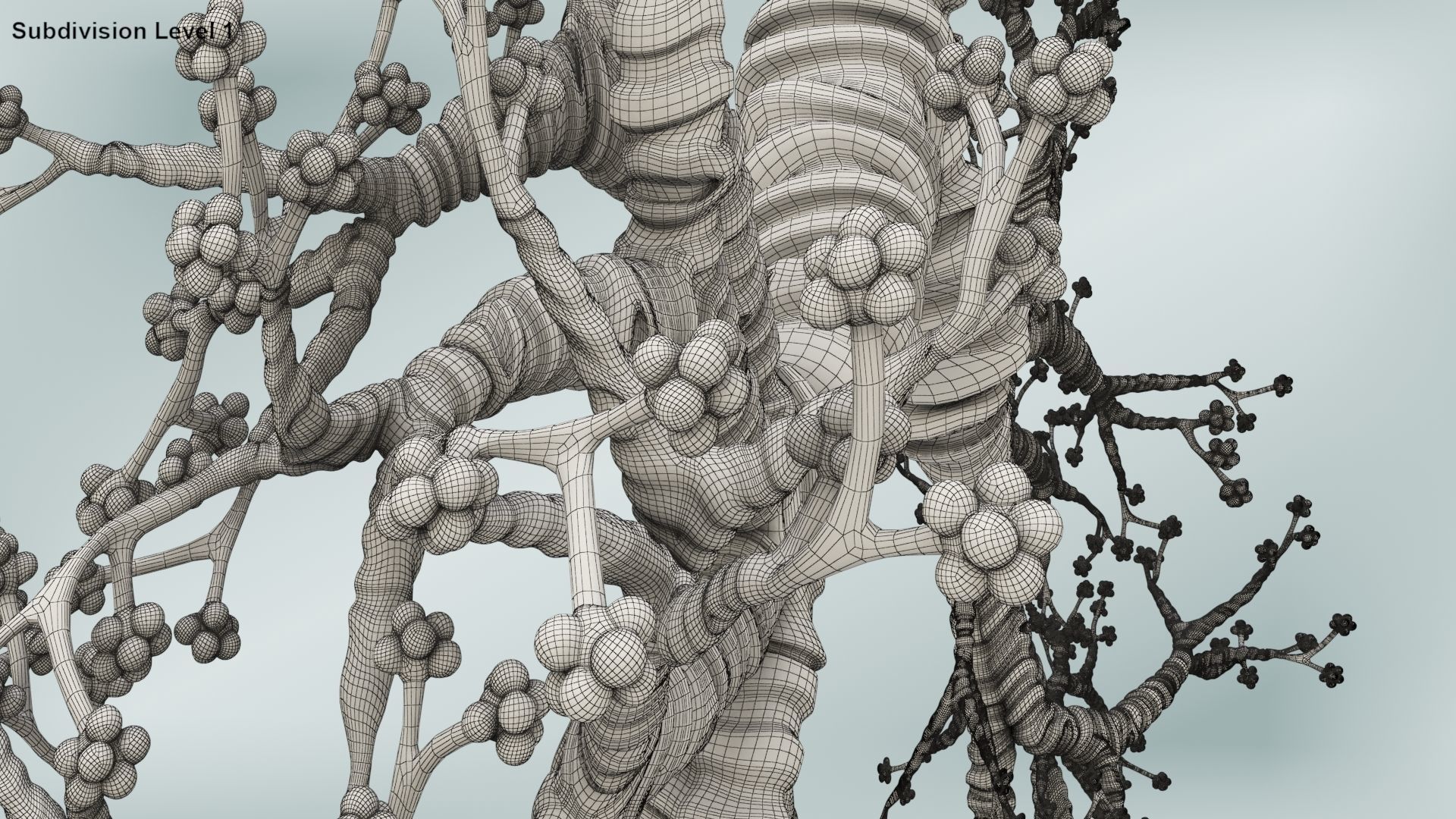 Lungs with bronchial tree 3D model_23