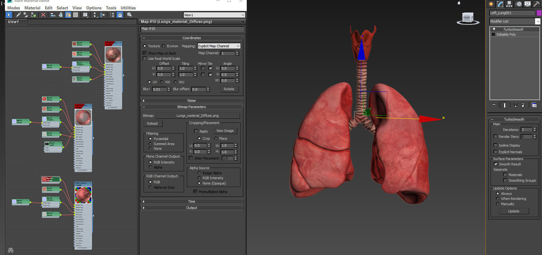 Lungs with bronchial tree 3D model_12