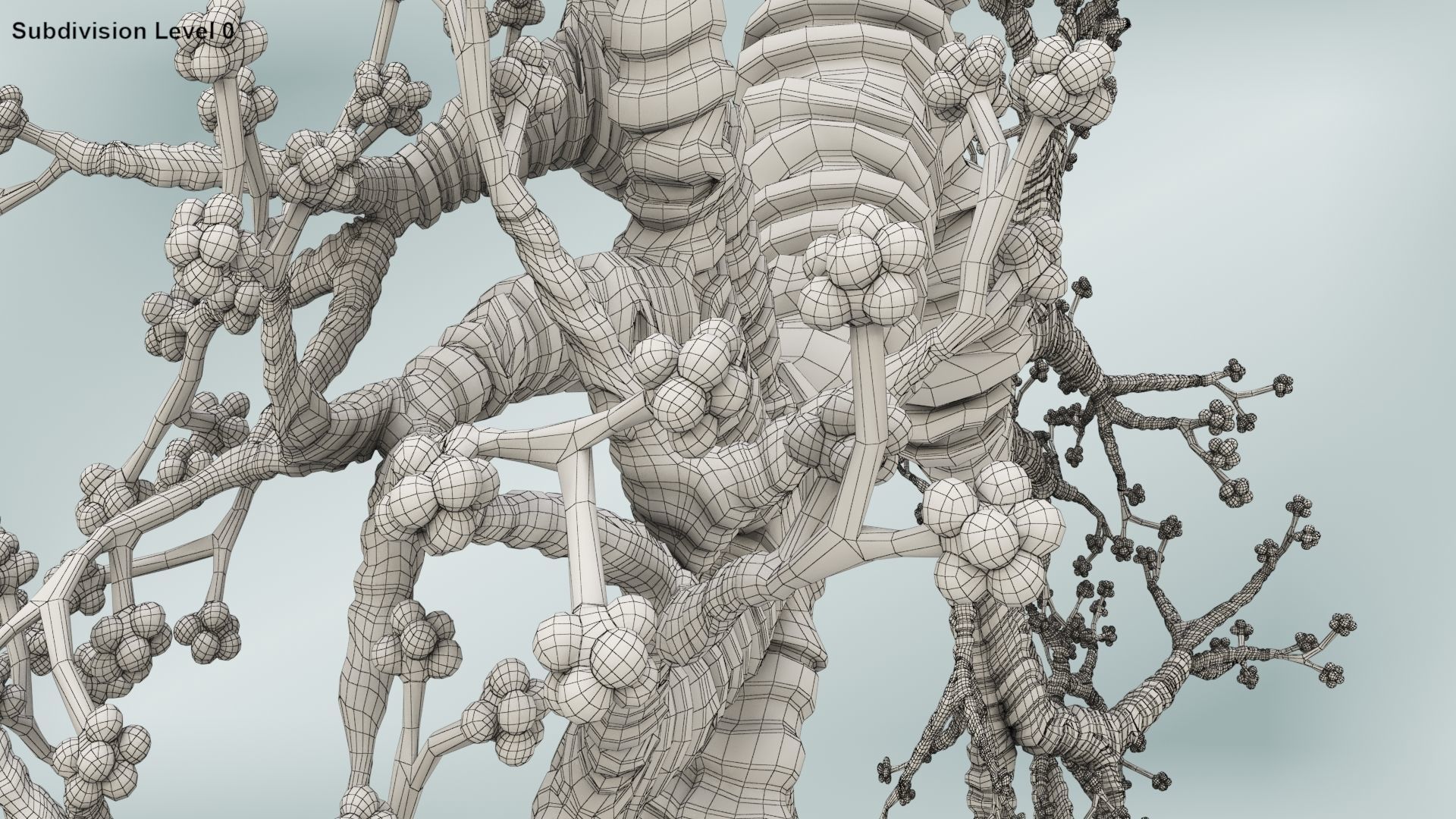 Lungs with bronchial tree 3D model_22