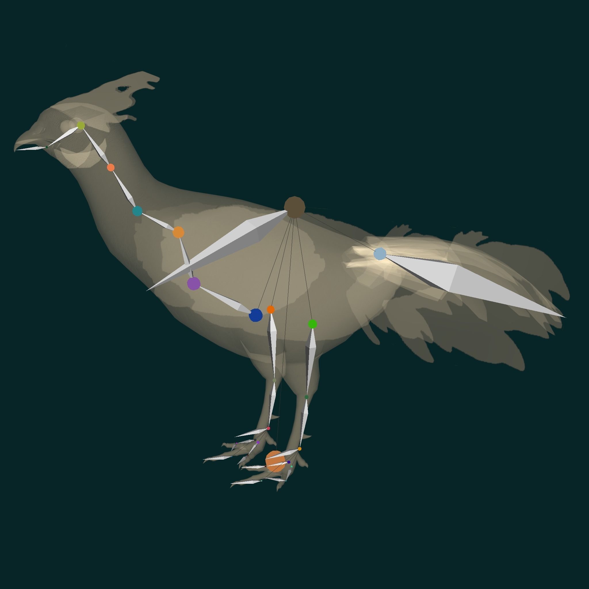 Nepal Kalij Pheasant Bird Low-poly 3D model_16