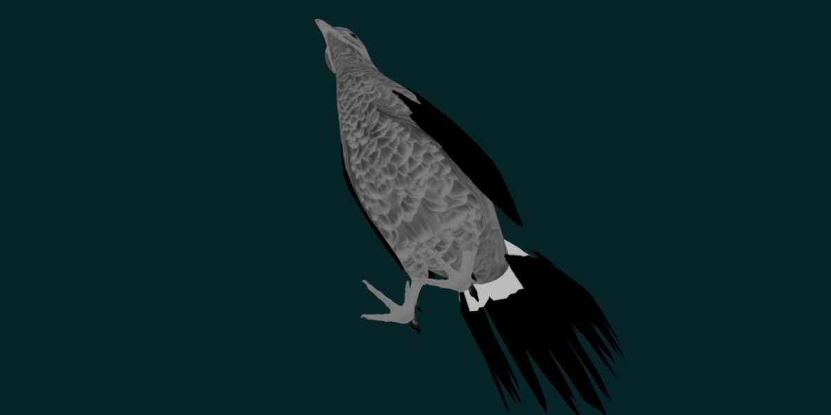 Nepal Kalij Pheasant Bird Low-poly 3D model_23