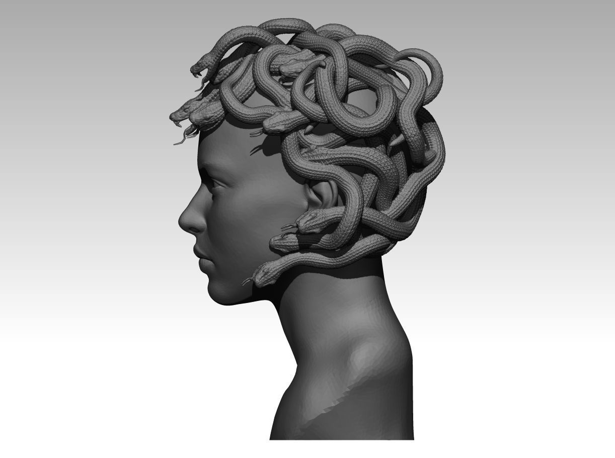 Gorgon medusa bust 3D print model_2