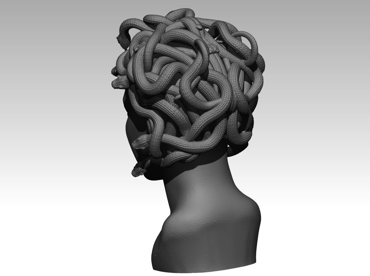 Gorgon medusa bust 3D print model_3