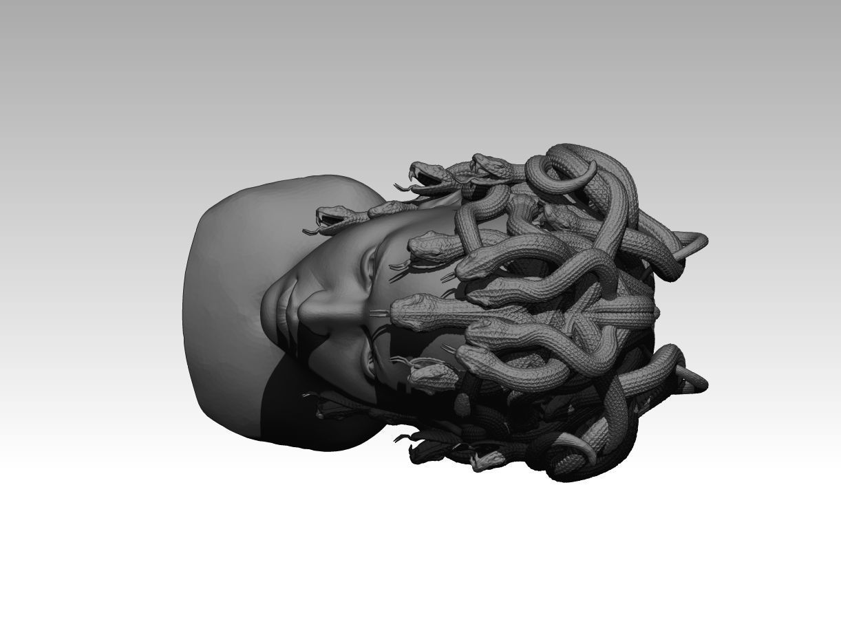 Gorgon medusa bust 3D print model_4