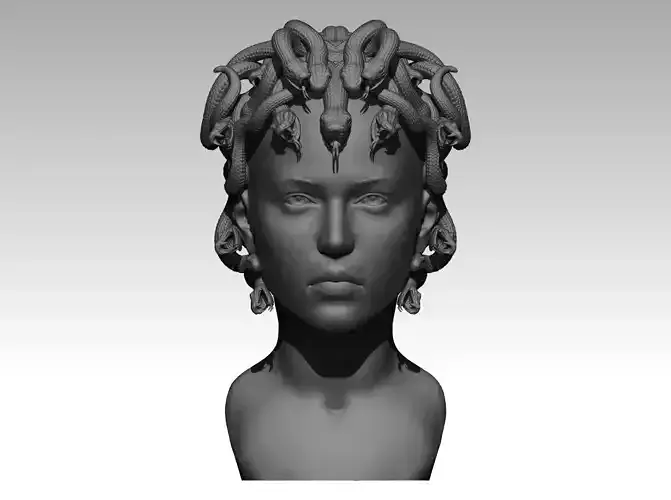 Gorgon medusa bust