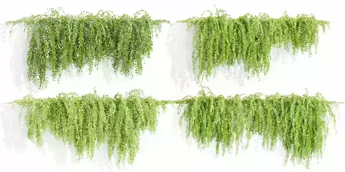Hanging wall creeper plants collection vol 159-Blender