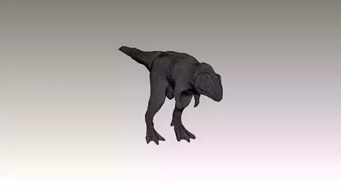 Giganotosaurus Dinosaur