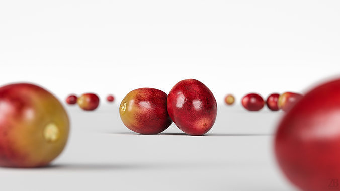 Grape 3D model 2