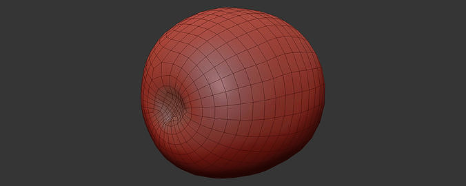 Grape 3D model 7