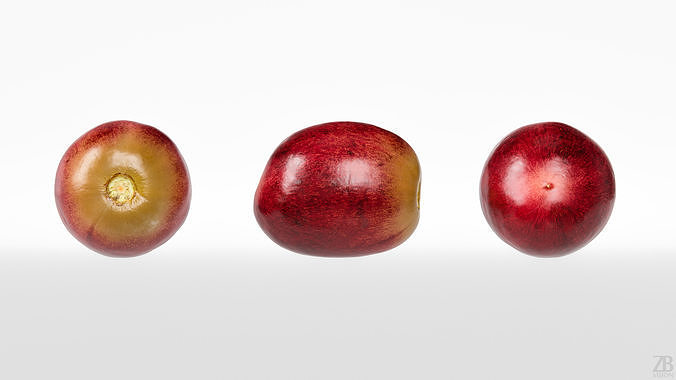 Grape 3D model 5