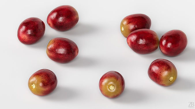Grape 3D model 3