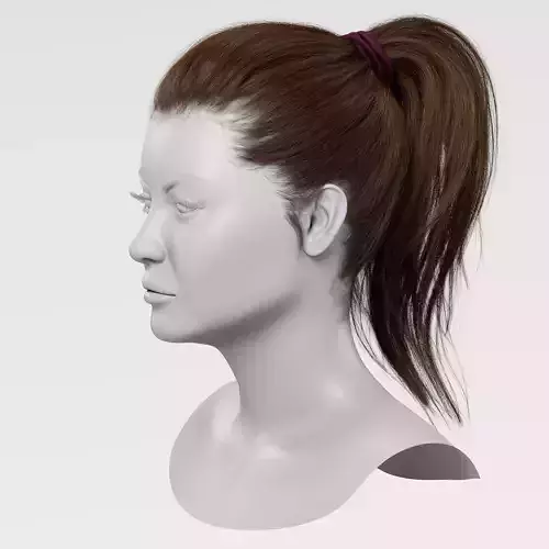 Realistic Ponytail Hairstyle For Games Alembic