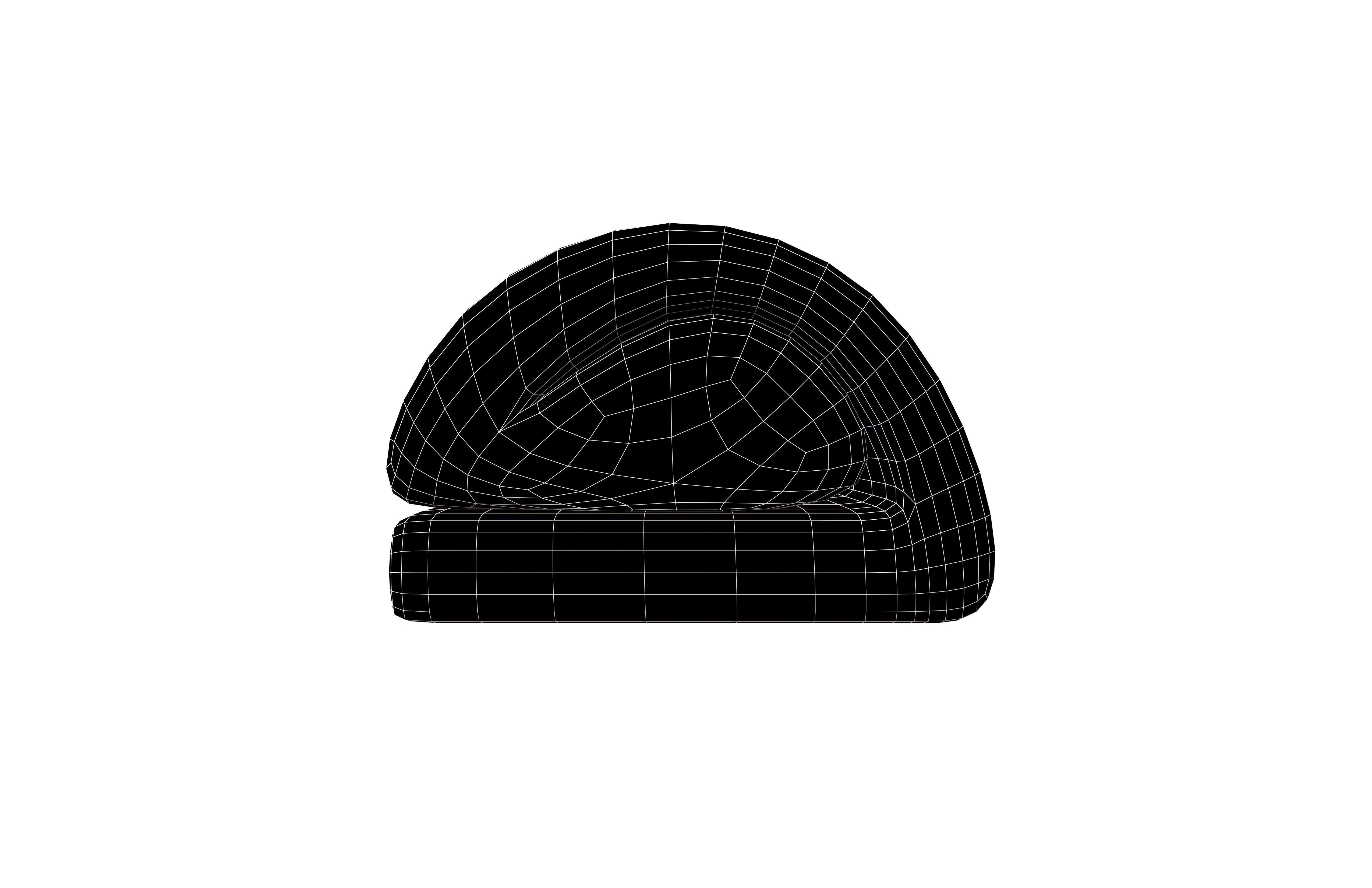 Dadar Gulung v1 004 Low-poly 3D model_4