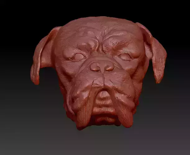 Dog face  3D print model
