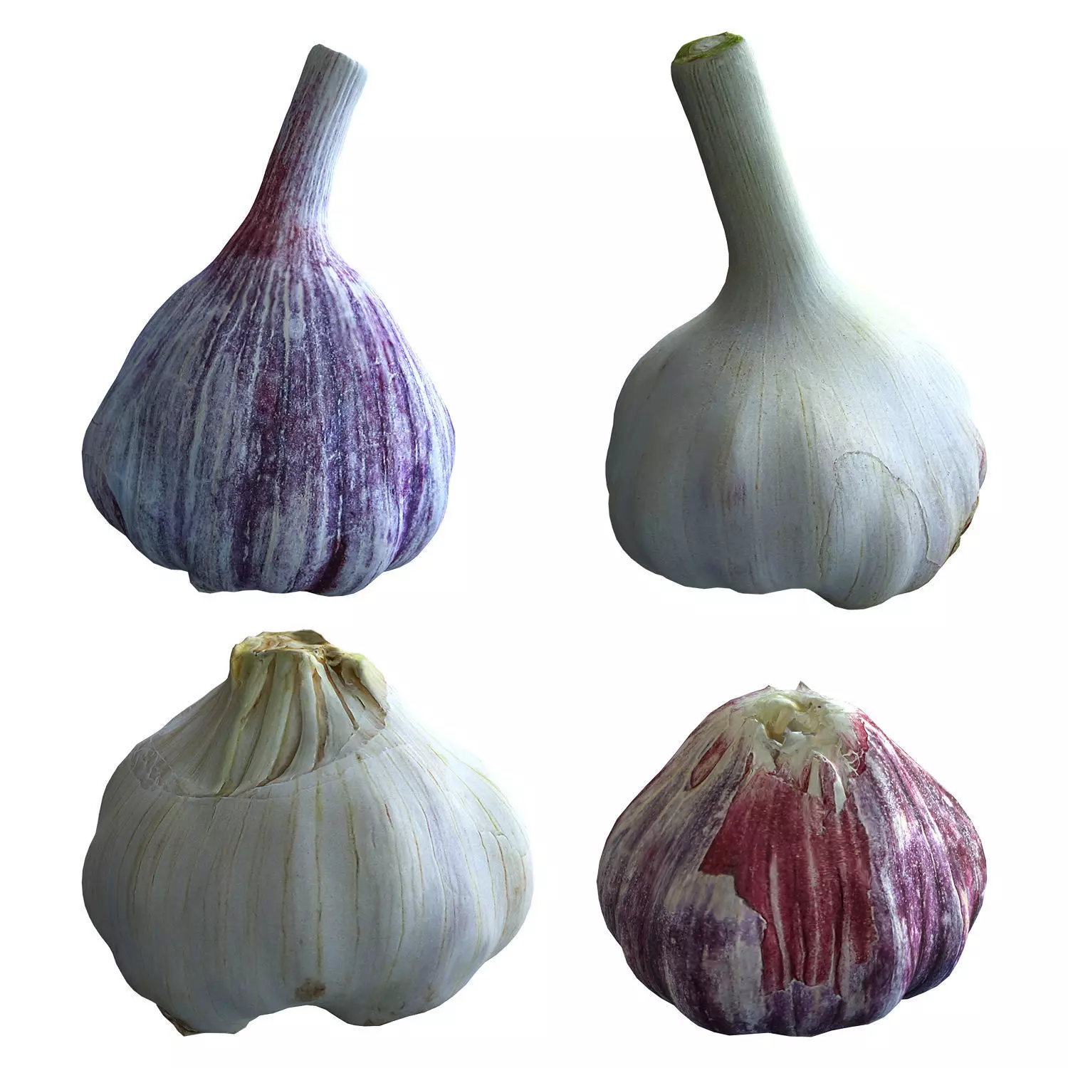 Garlic Low-poly 3D model_0