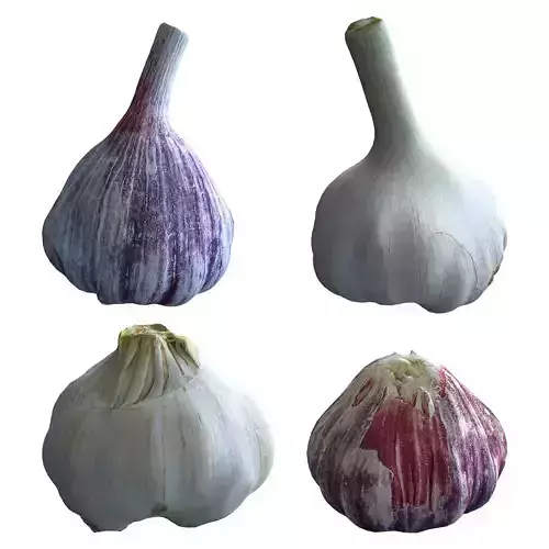 Garlic Low-poly 3D model