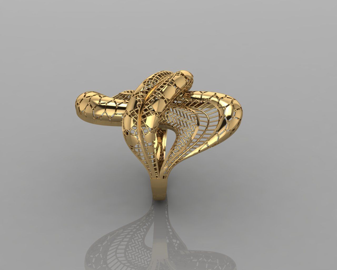 TOTURIAL RING 3D print model_9