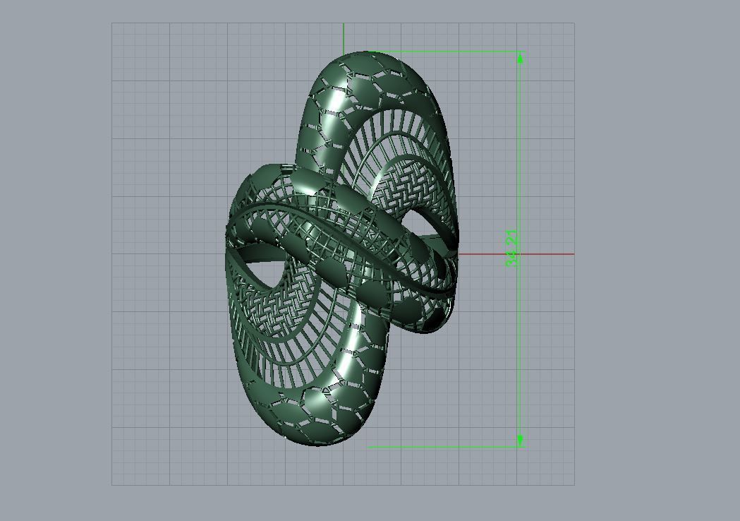 TOTURIAL RING 3D print model_13