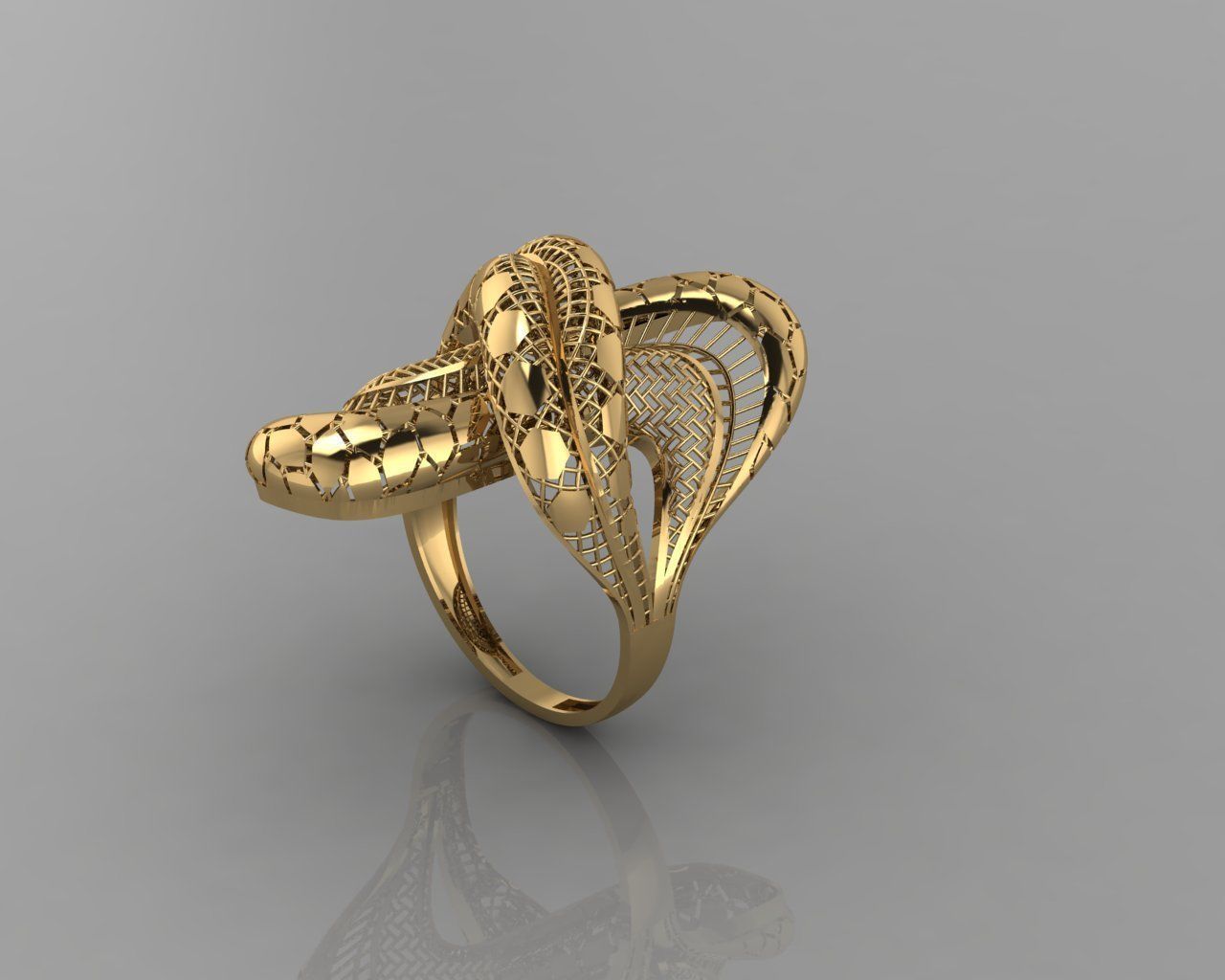 TOTURIAL RING 3D print model_3