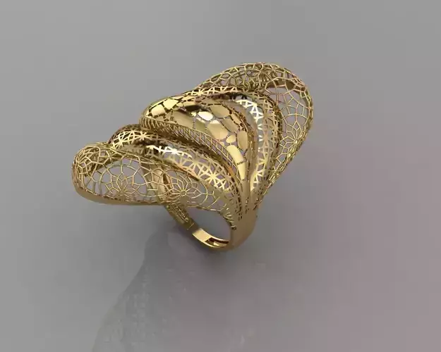 TORTURIAL RING 3D print model
