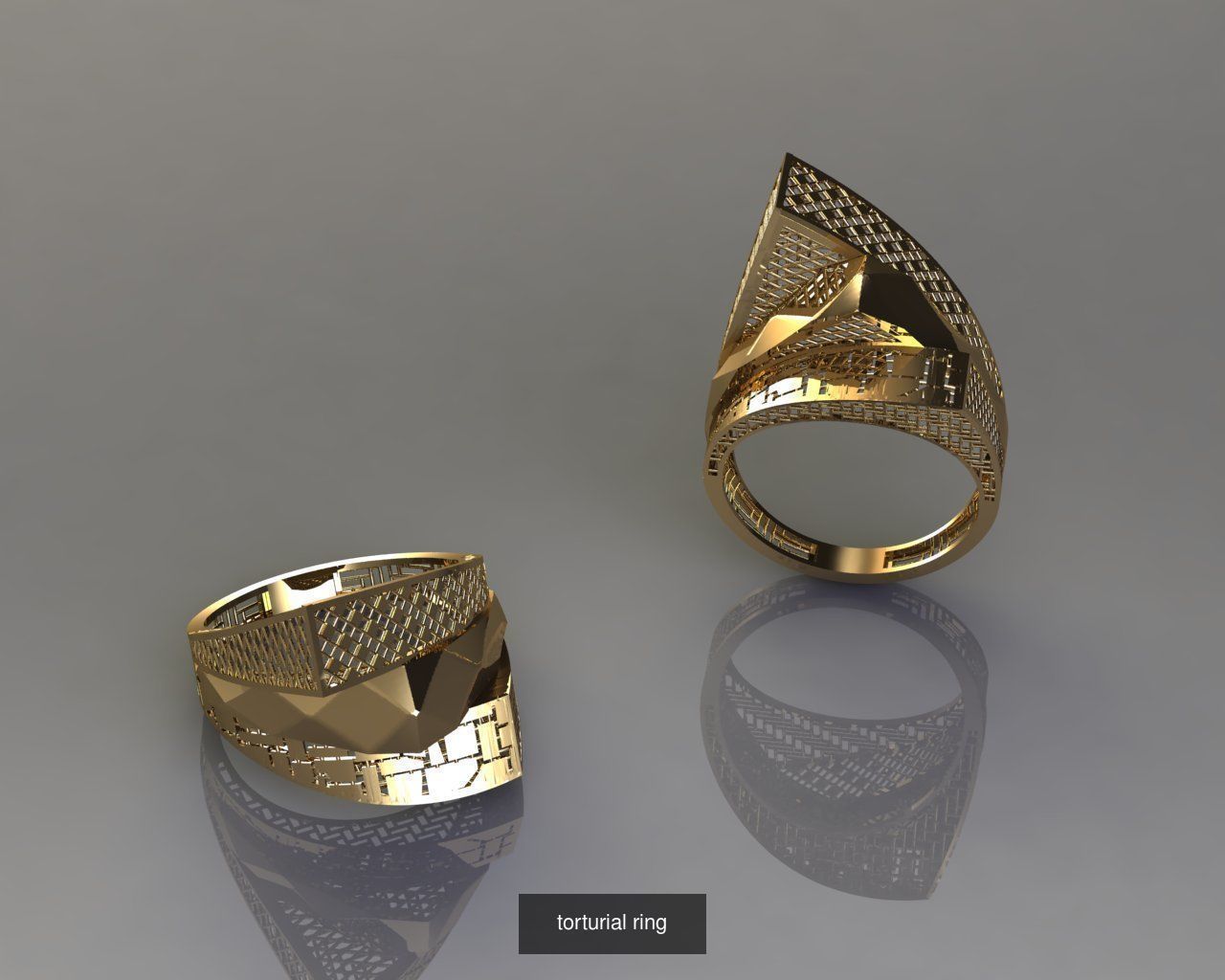 TORTURIAL RING 3D Model Collection_7