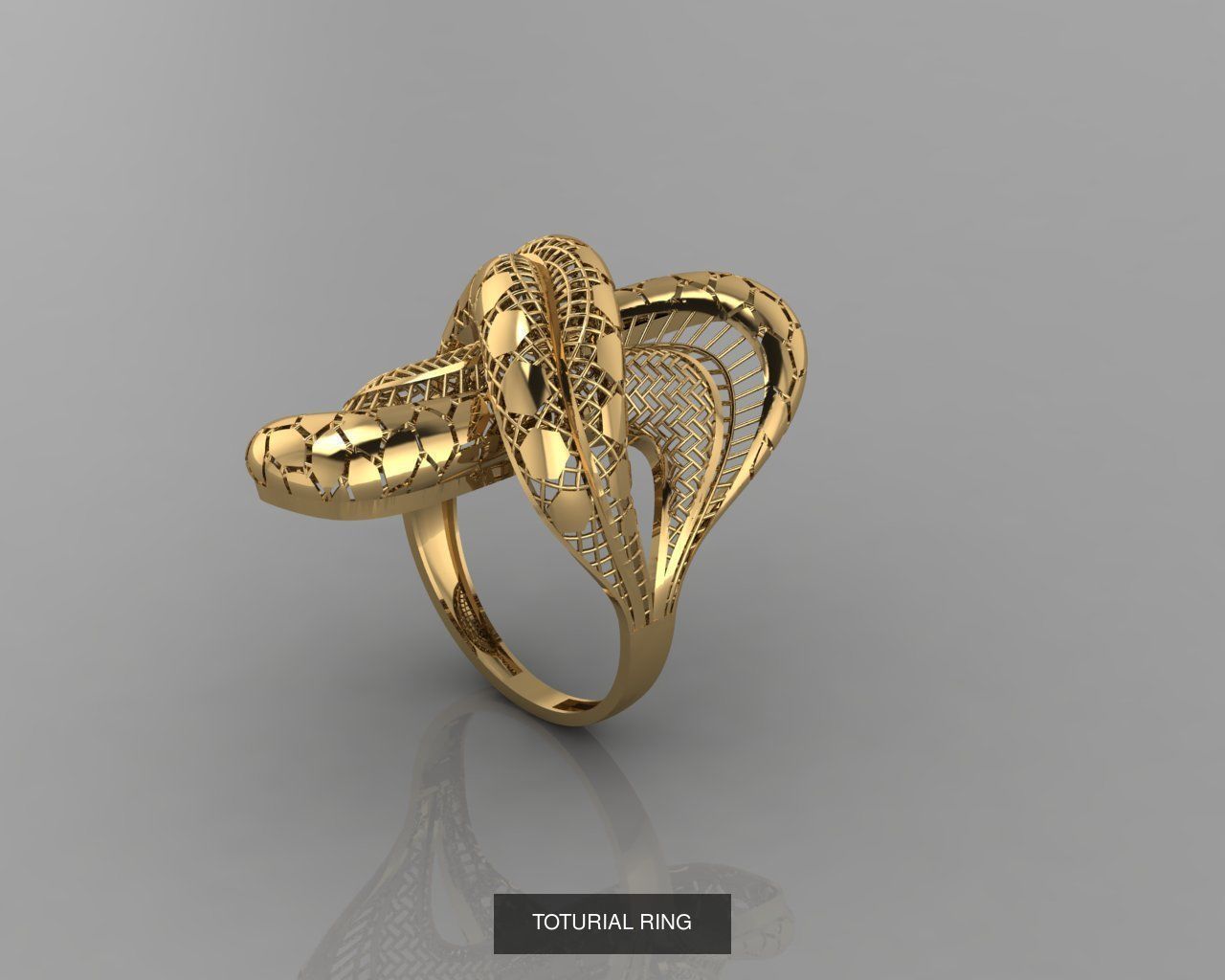 TORTURIAL RING 3D Model Collection_9