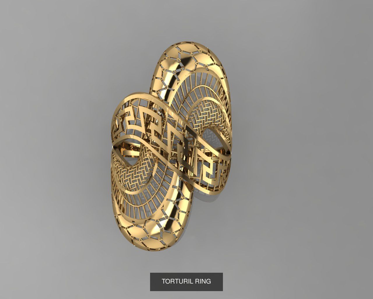 TORTURIAL RING 3D Model Collection_10