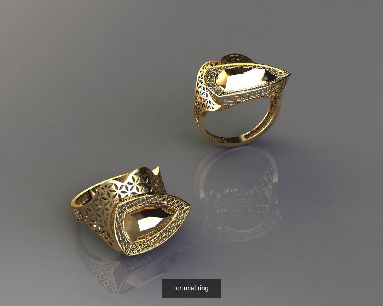 TORTURIAL RING 3D Model Collection_5