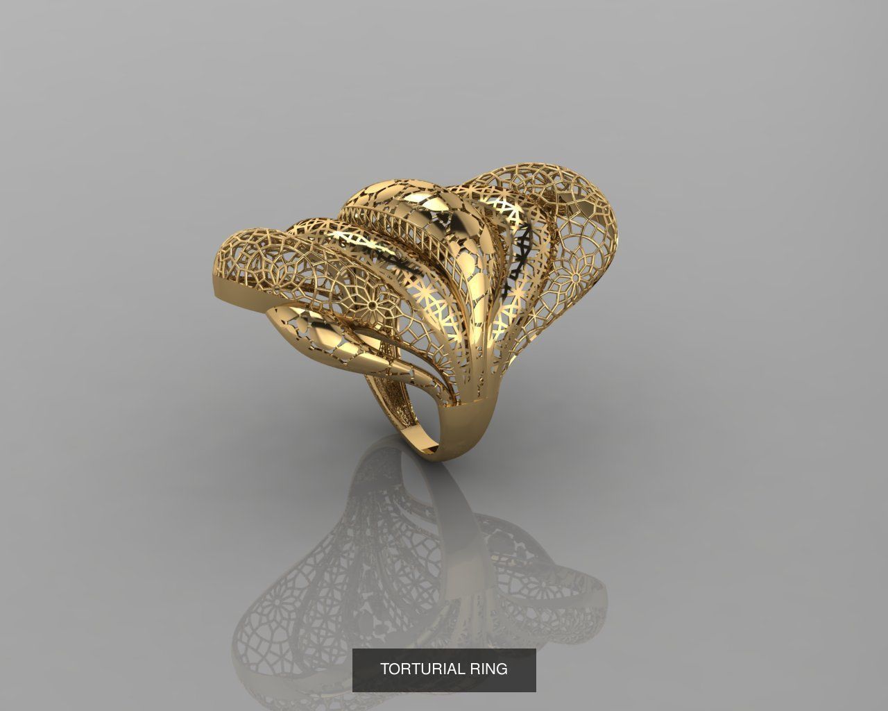 TORTURIAL RING 3D Model Collection_11