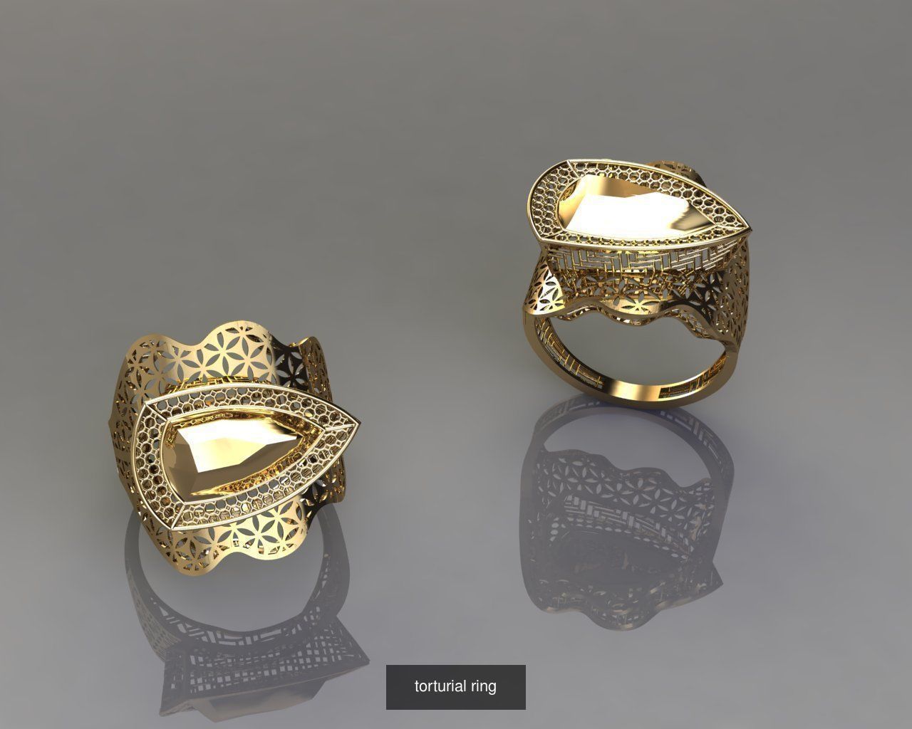 TORTURIAL RING 3D Model Collection_6