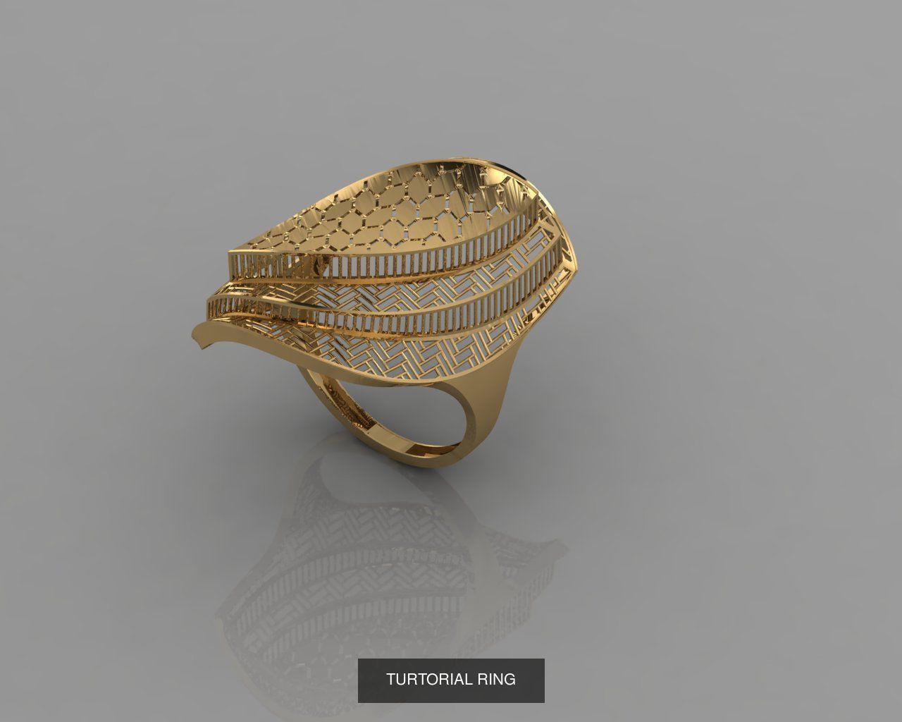 TORTURIAL RING 3D Model Collection_8
