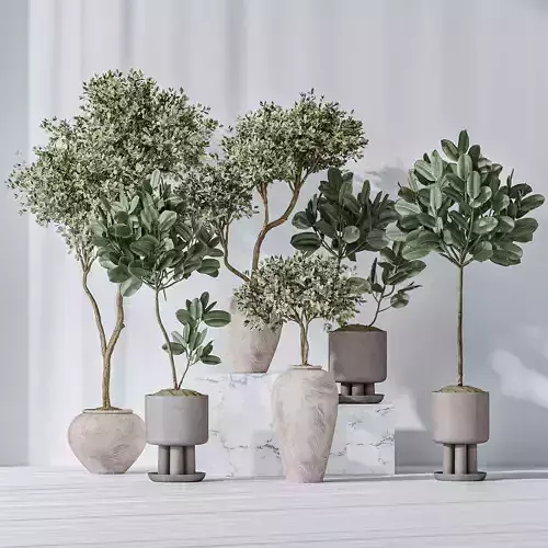Elastica Abidjan Melany and  Mission Olive Tree Vase 18 3D model