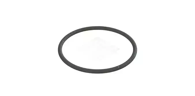 O Ring Vedabras 12888