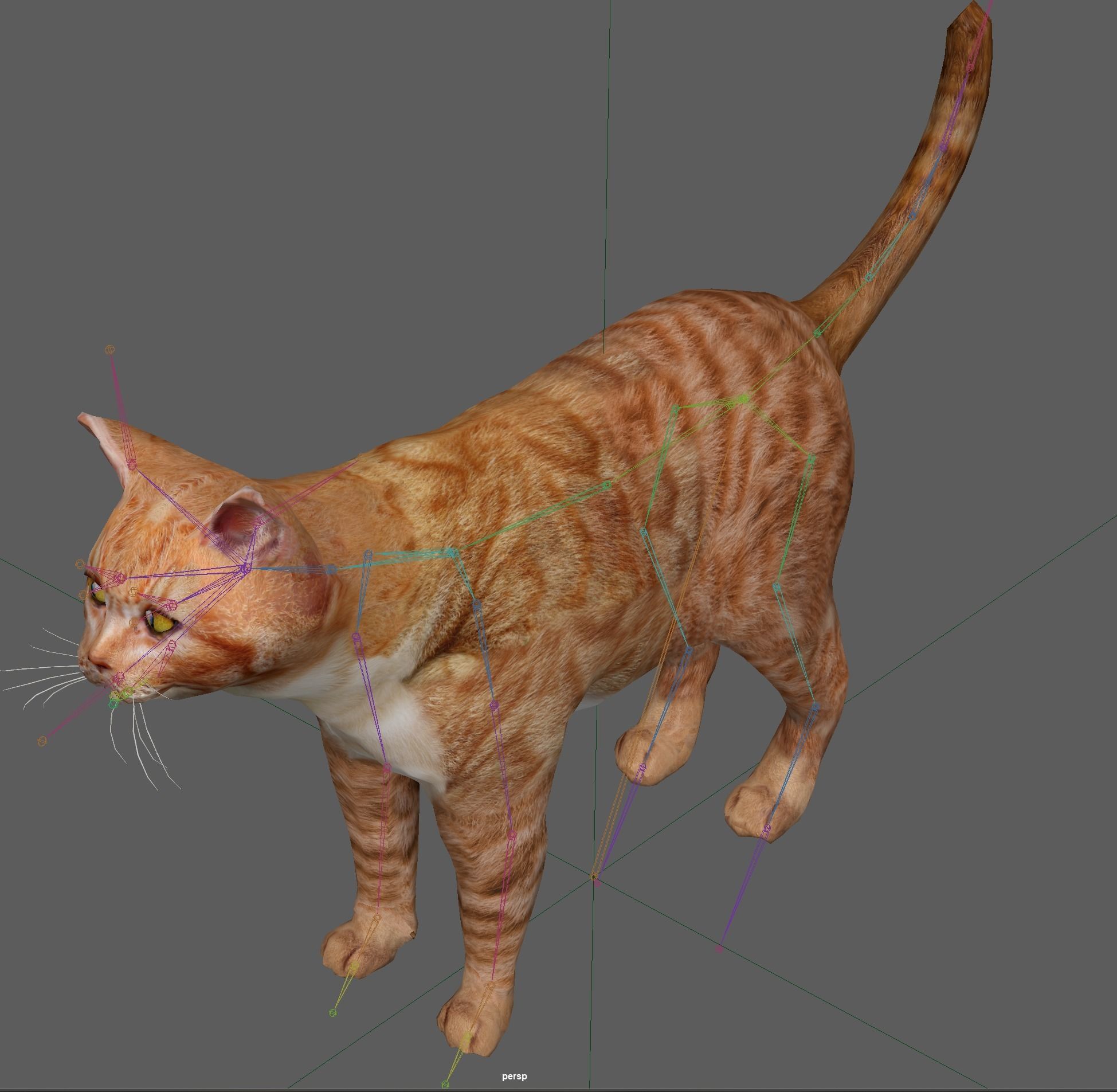Orange Cat 3D model_21